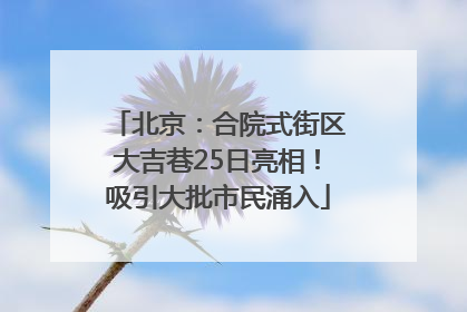 北京：合院式街区大吉巷25日亮相！吸引大批市民涌入