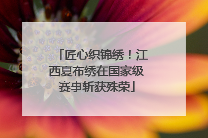 匠心织锦绣！江西夏布绣在国家级赛事斩获殊荣