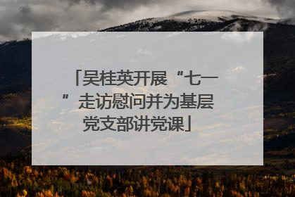 吴桂英开展“七一”走访慰问并为基层党支部讲党课