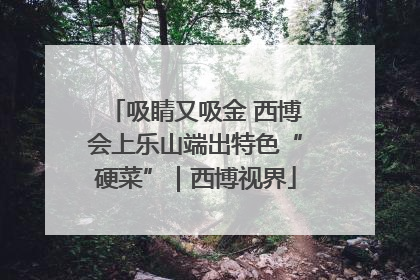 吸睛又吸金 西博会上乐山端出特色“硬菜”｜西博视界