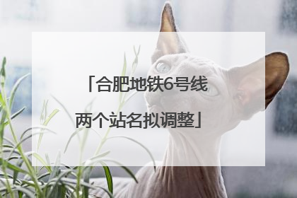 合肥地铁6号线两个站名拟调整