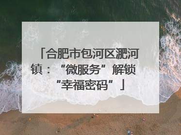 合肥市包河区淝河镇：“微服务”解锁“幸福密码”