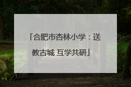 合肥市杏林小学：送教古城 互学共研