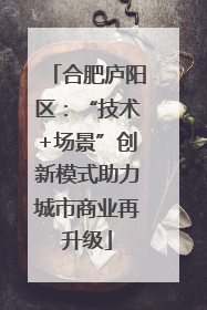合肥庐阳区：“技术+场景”创新模式助力城市商业再升级