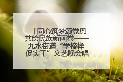 同心筑梦颂党恩 共绘民族新画卷——九水街道“学榜样 促实干”文艺晚会唱响民族团结主旋律