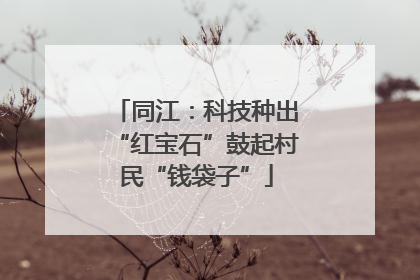 同江：科技种出“红宝石”鼓起村民“钱袋子”
