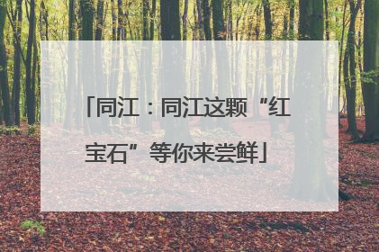 同江：同江这颗“红宝石”等你来尝鲜