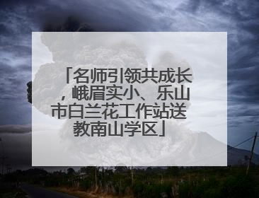 名师引领共成长，峨眉实小、乐山市白兰花工作站送教南山学区