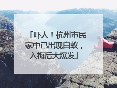 吓人！杭州市民家中已出现白蚁，入梅后大爆发