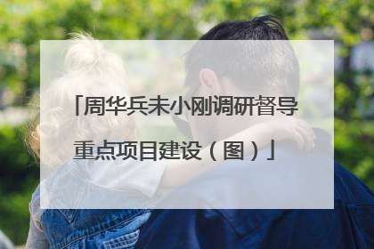 周华兵未小刚调研督导重点项目建设（图）