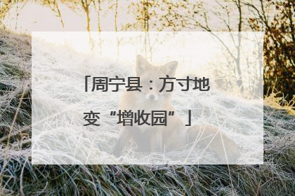 周宁县：方寸地变“增收园”