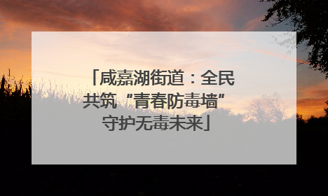 咸嘉湖街道：全民共筑“青春防毒墙” 守护无毒未来
