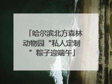 哈尔滨北方森林动物园“私人定制”粽子迎端午