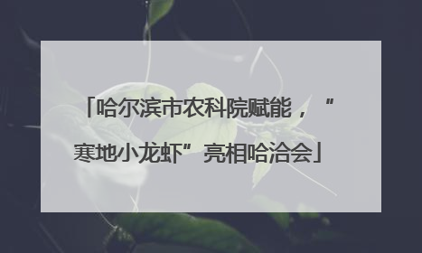 哈尔滨市农科院赋能，“寒地小龙虾”亮相哈洽会