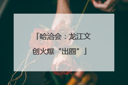 哈洽会：龙江文创火爆“出圈”