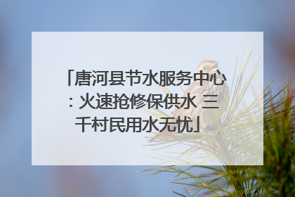 唐河县节水服务中心：火速抢修保供水 三千村民用水无忧