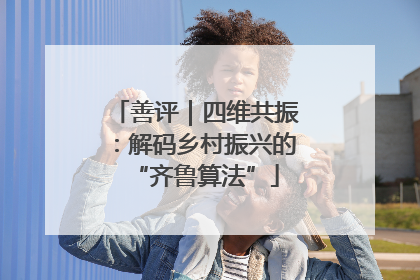 善评｜四维共振：解码乡村振兴的“齐鲁算法”