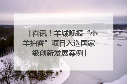 喜讯！羊城晚报“小羊拍客”项目入选国家级创新发展案例