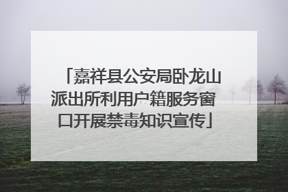 嘉祥县公安局卧龙山派出所利用户籍服务窗口开展禁毒知识宣传
