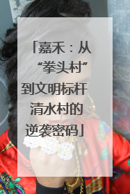 嘉禾：从“拳头村”到文明标杆 清水村的逆袭密码