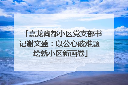 嘉龙尚都小区党支部书记谢文盛：以公心破难题 绘就小区新画卷