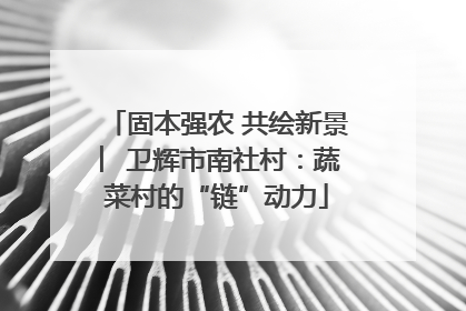 固本强农 共绘新景 ︳卫辉市南社村：蔬菜村的“链”动力