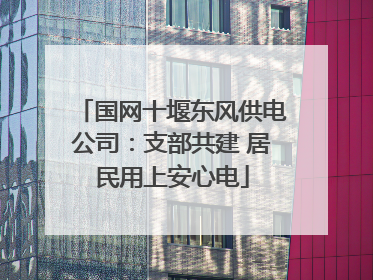 国网十堰东风供电公司：支部共建 居民用上安心电