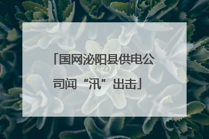 国网泌阳县供电公司闻“汛”出击