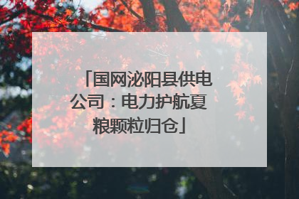 国网泌阳县供电公司：电力护航夏粮颗粒归仓