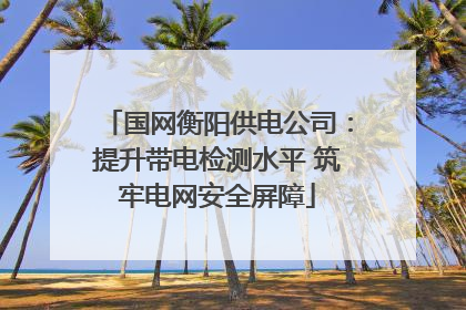 国网衡阳供电公司：提升带电检测水平 筑牢电网安全屏障