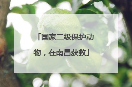国家二级保护动物，在南昌获救
