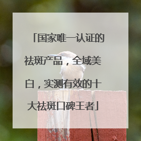 国家唯一认证的祛斑产品，全域美白，实测有效的十大祛斑口碑王者