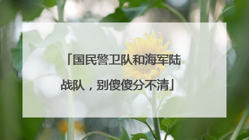 国民警卫队和海军陆战队，别傻傻分不清