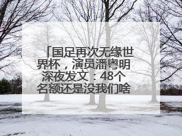 国足再次无缘世界杯，演员潘粤明深夜发文：48个名额还是没我们啥事儿；此前曾多次为国足发声