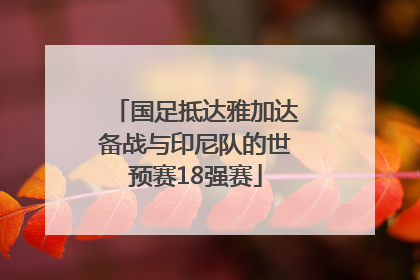 国足抵达雅加达备战与印尼队的世预赛18强赛