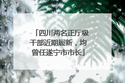 四川两名正厅级干部近期履新，均曾任遂宁市市长