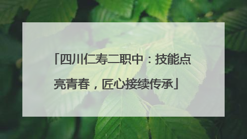 四川仁寿二职中：技能点亮青春，匠心接续传承