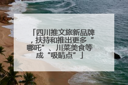 四川推文旅新品牌，扶持和推出更多“哪吒”、川菜美食等成“吸睛点”