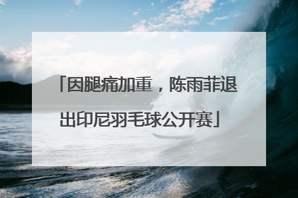 因腿痛加重，陈雨菲退出印尼羽毛球公开赛