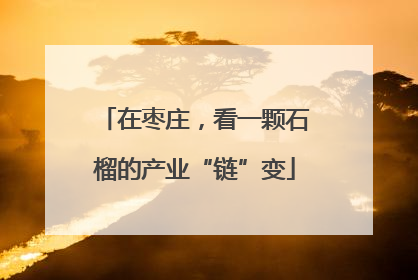 在枣庄，看一颗石榴的产业“链”变