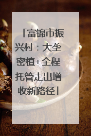 富锦市振兴村：大垄密植+全程托管走出增收新路径
