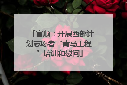 富顺：开展西部计划志愿者“青马工程”培训和慰问