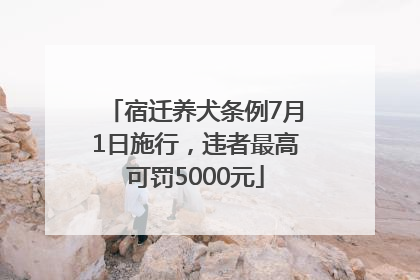 宿迁养犬条例7月1日施行，违者最高可罚5000元