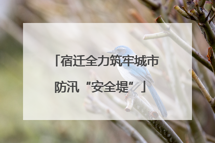 宿迁全力筑牢城市防汛“安全堤”