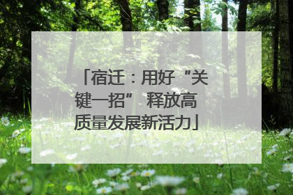 宿迁：用好“关键一招” 释放高质量发展新活力