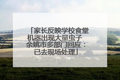 家长反映学校食堂机器出现大量虫子 余姚市多部门回应：已去现场处理