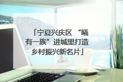 宁夏兴庆区 “曦有一族”进城里打造乡村振兴新名片