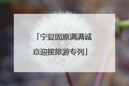 宁夏固原满满诚意迎接旅游专列