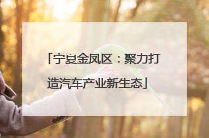宁夏金凤区：聚力打造汽车产业新生态