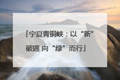 宁夏青铜峡：以“新”破题 向“绿”而行
